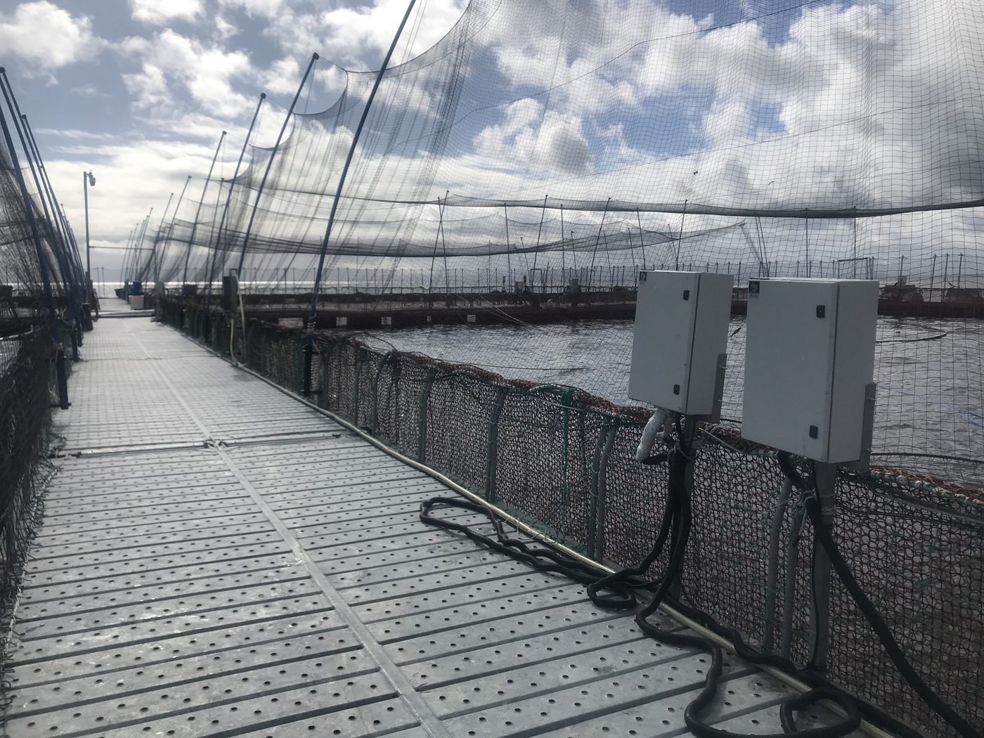 Aquanet monitoring enclosures installed on a fish-farm walkway beside the net pens