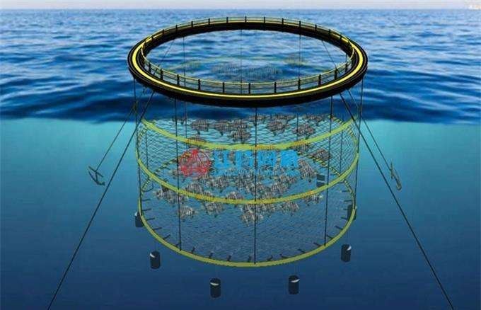 Illustration of an offshore fish-farm sea cage, with the net hanging below a floating ring